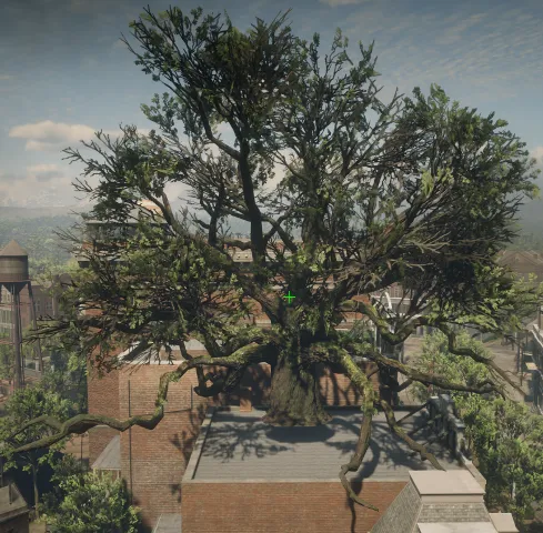 p_tree_angel_oak