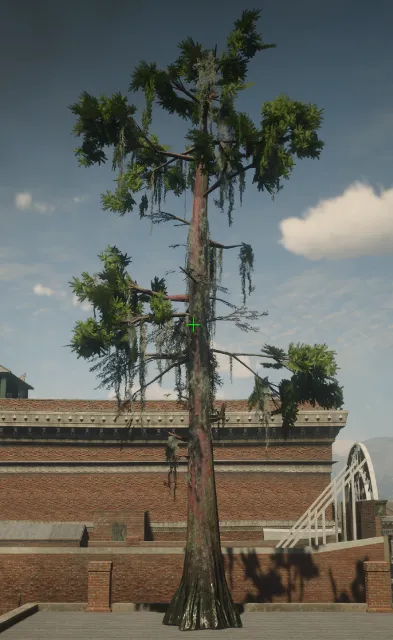 p_tree_baldcypress_01a