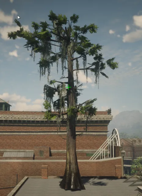 p_tree_baldcypress_03