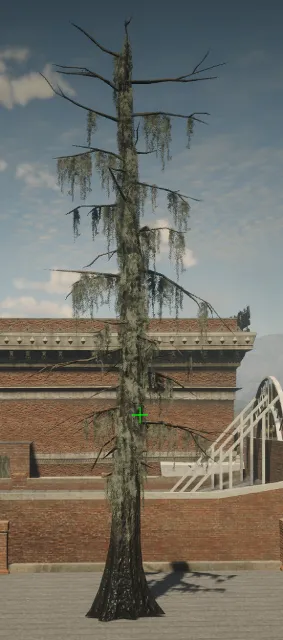 p_tree_baldcypress_04_sm_a