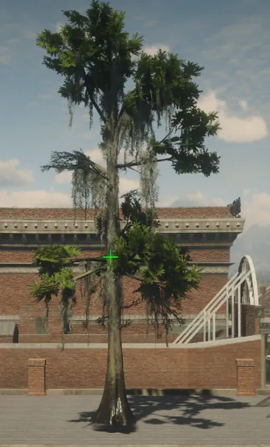 p_tree_baldcypress_05_sm_a