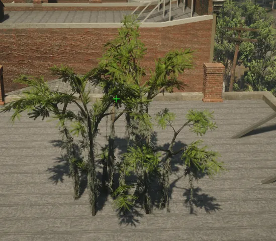 p_tree_baldcypress_06a