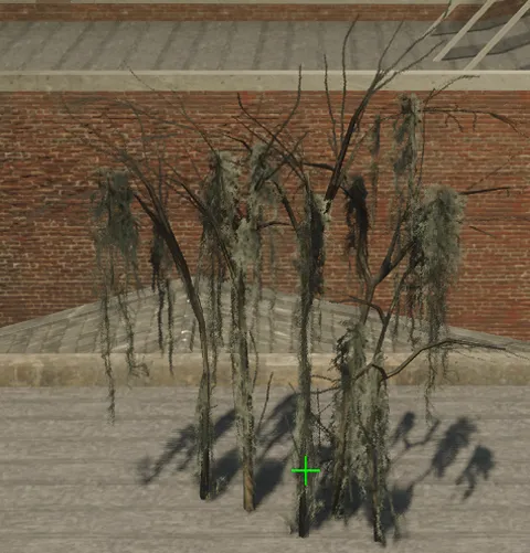 p_tree_baldcypress_06b