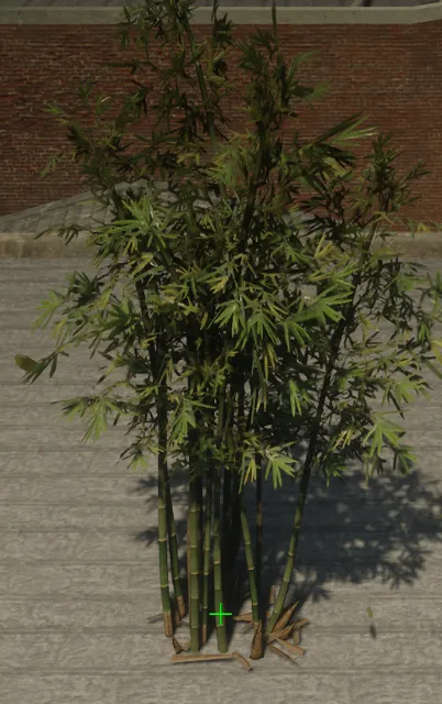 p_tree_bamboo_01