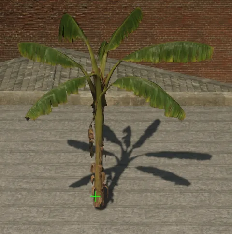 p_tree_banana_01_crt