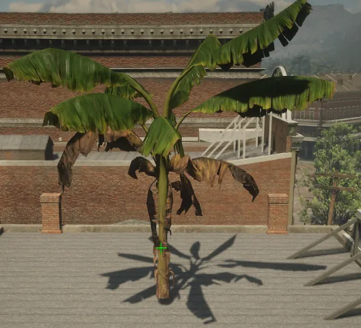 p_tree_banana_01_lg