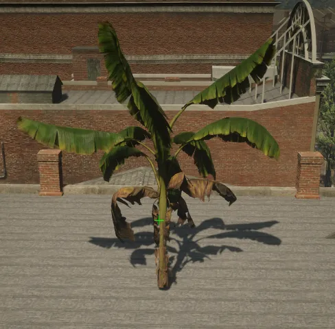p_tree_banana_01_md_crt