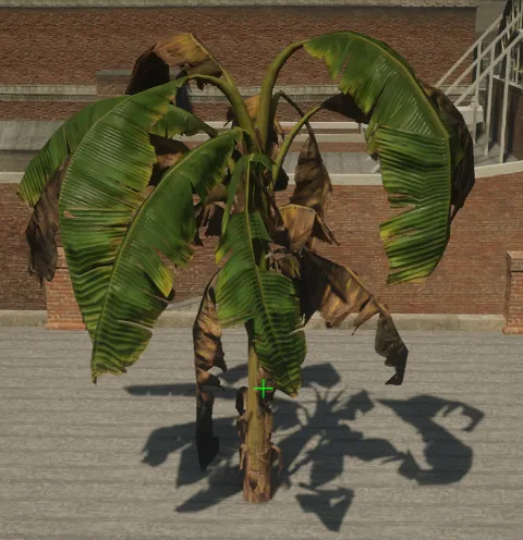 p_tree_banana_dead_01_lg