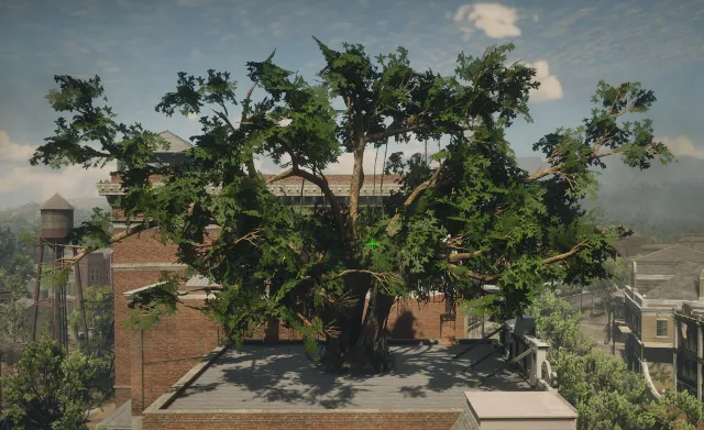 p_tree_banyan_01