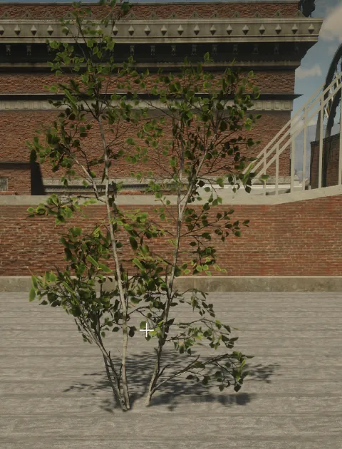 p_tree_birch_02_sapling