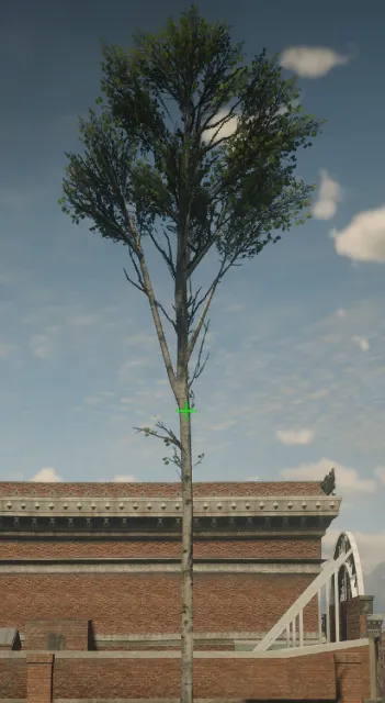 p_tree_birch_03_lg