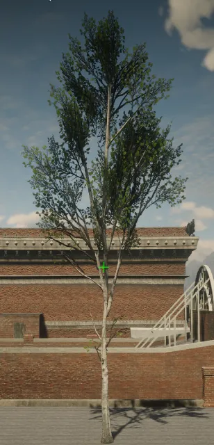 p_tree_birch_03_md_a