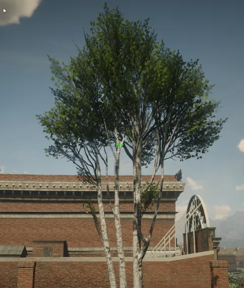 p_tree_birch_04