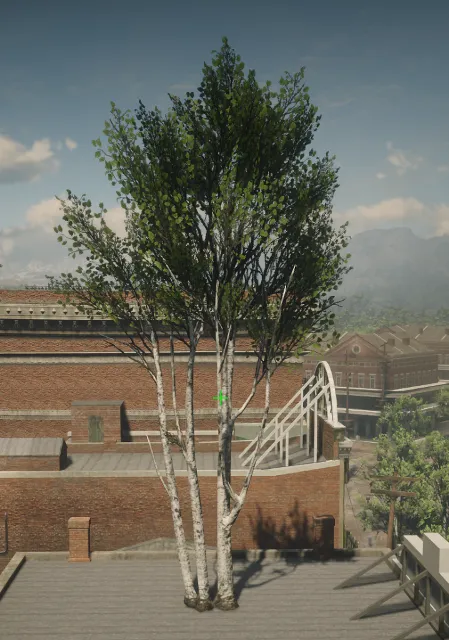 p_tree_birch_04_lg
