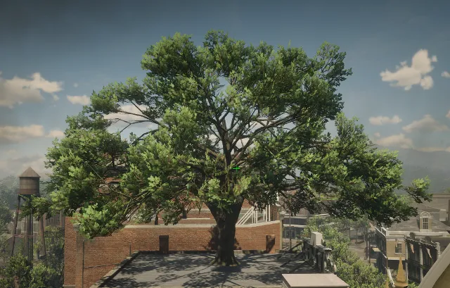 p_tree_blue_oak_01