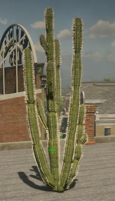 p_tree_cactus_01b