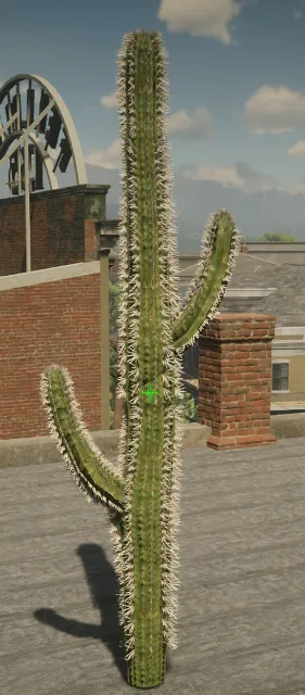 p_tree_cactus_01c