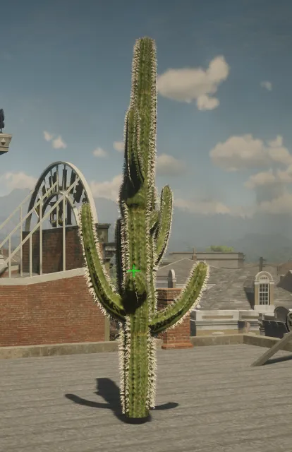 p_tree_cactus_01e