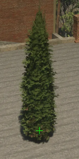 p_tree_cedar_decor_02