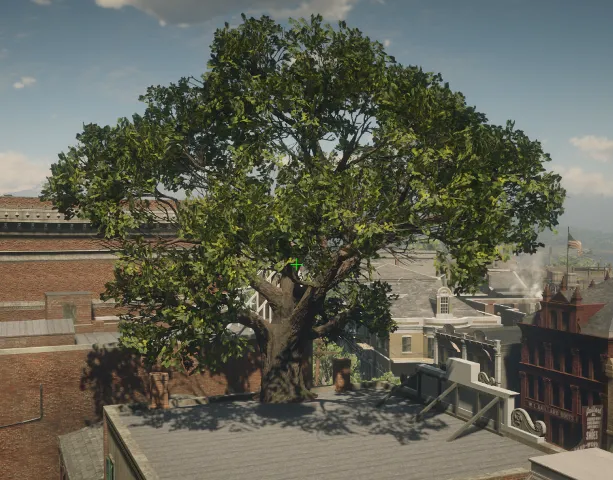 p_tree_cottonwood_01