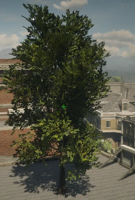 p_tree_cottonwood_02