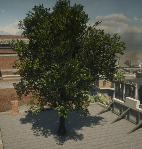 p_tree_cottonwood_03