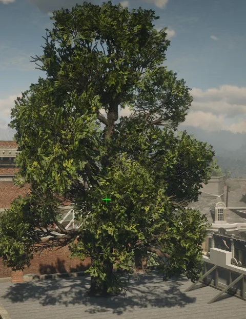 p_tree_cottonwood_04