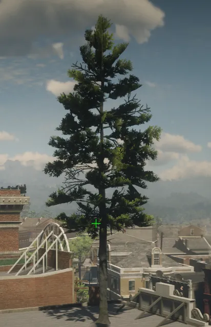 p_tree_douglasfir_01