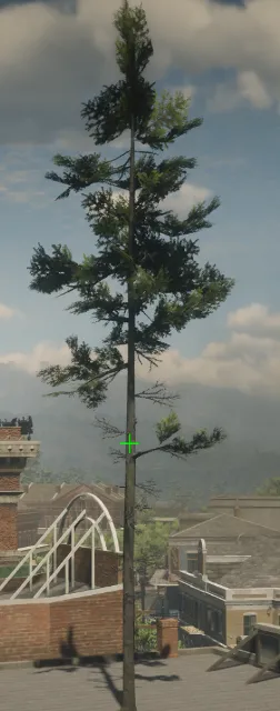 p_tree_douglasfir_02