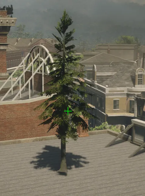 p_tree_douglasfir_03