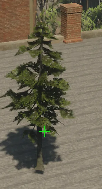 p_tree_douglasfir_04