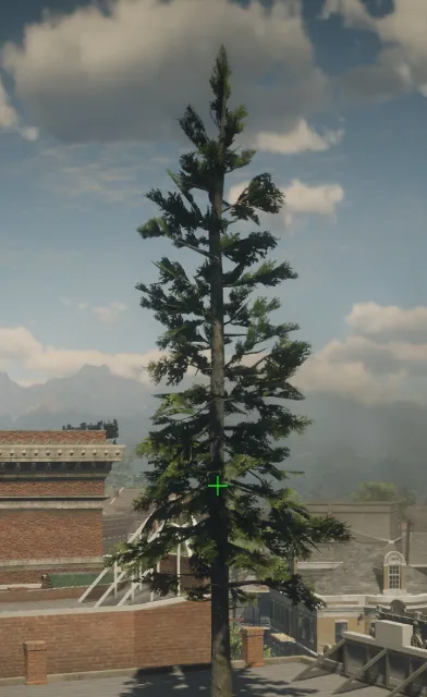 p_tree_douglasfir_05