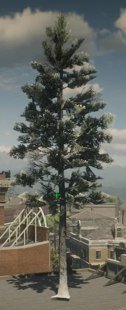 p_tree_douglasfir_snow_01