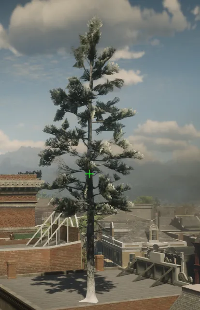 p_tree_douglasfir_snow_01a