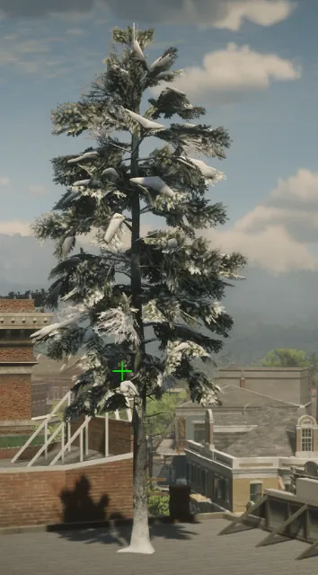 p_tree_douglasfir_snow_02