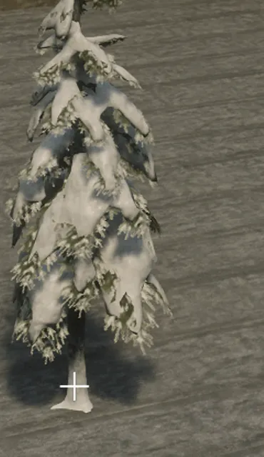 p_tree_douglasfir_snow_03d