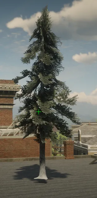 p_tree_douglasfir_snow_04