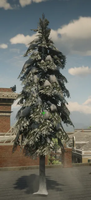 p_tree_douglasfir_snow_04a