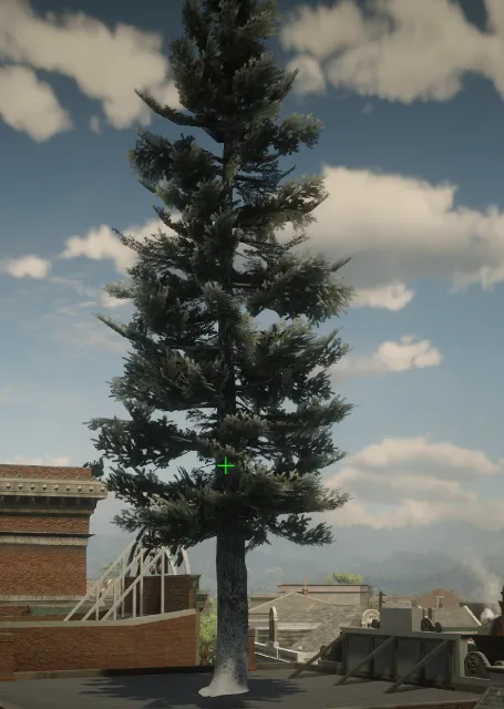 p_tree_douglasfir_snow_05