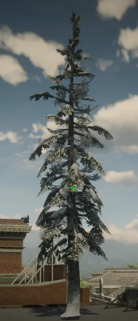 p_tree_douglasfir_snow_05a