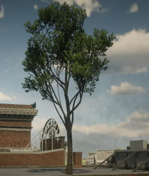 p_tree_engoak_02