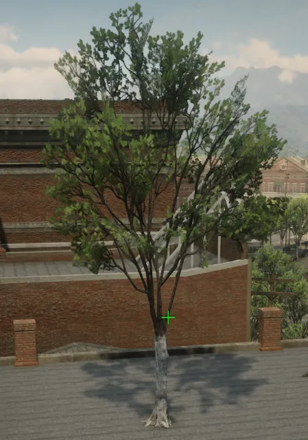 p_tree_engoak_nbx_01