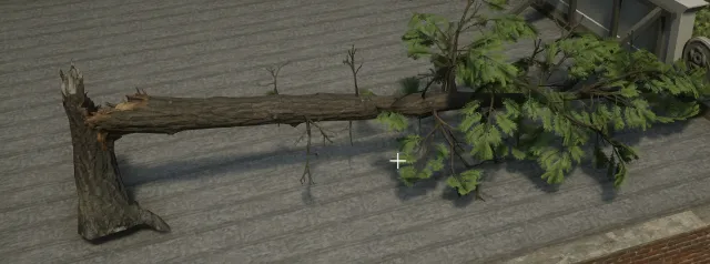 p_tree_fallen_01