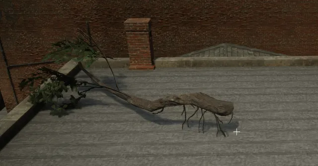 p_tree_hangingtreebranch