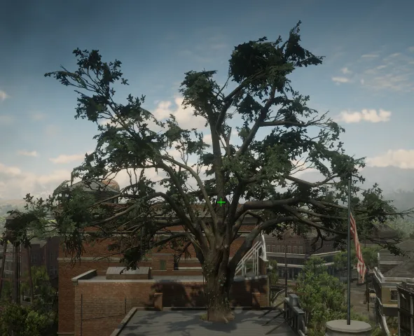 p_tree_hangingtreeoak01