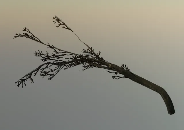 p_tree_hangtreeoak_ropeswing