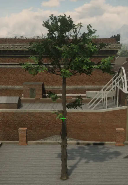 p_tree_hickory_02