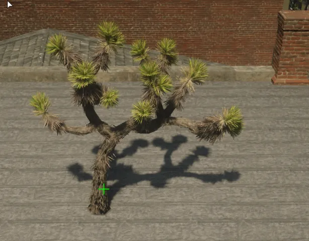 p_tree_joshua_01a
