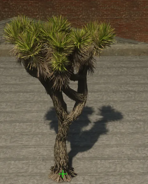 p_tree_joshua_01b