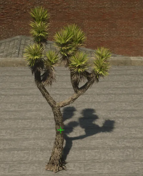 p_tree_joshua_01c
